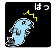 809007688