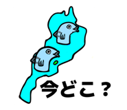 809007691