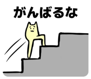 809007693