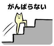 809007694