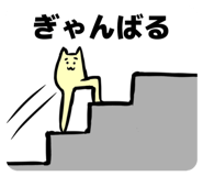 809007695