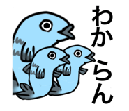 809007706
