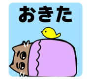 809007717
