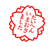 809016064