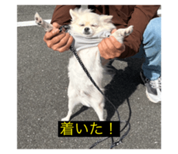 809017644