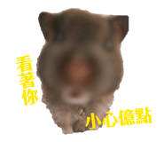 809026900