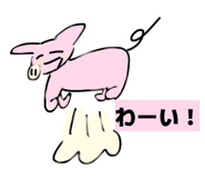 809043068