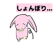 809043069