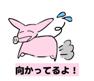 809043072