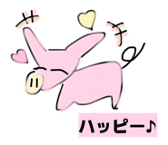 809043077