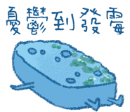809044479