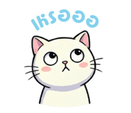 809048102