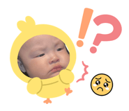 809049667