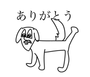 809055030