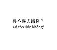 809063038