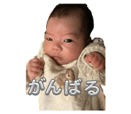 809065898