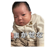 809065899