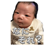 809065900