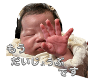 809065903