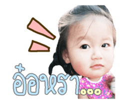 80906692