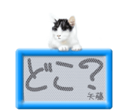 809070628