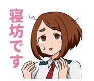 809079064