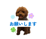 809081178