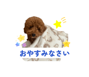 809081179
