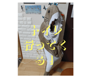 809085774