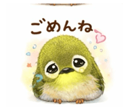 809087595