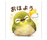 809087602