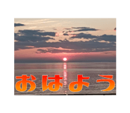 809088905