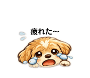 809100318