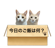 809102280