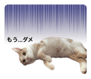 809102285