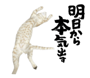 809102286