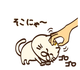 8091223