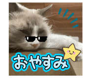809134598