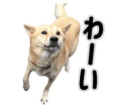 809142123