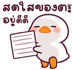 ลายที่ 5