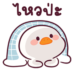 ลายที่ 13