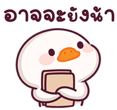 ลายที่ 23