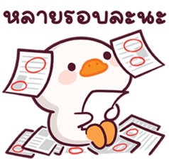 ลายที่ 51