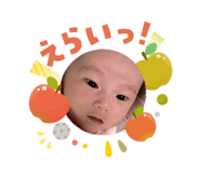 809151585