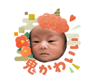 809151588