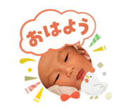 809151590