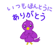 809153754