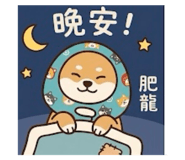 809155267