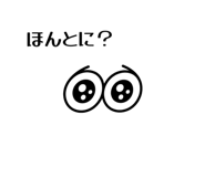 809161979