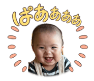 809162971